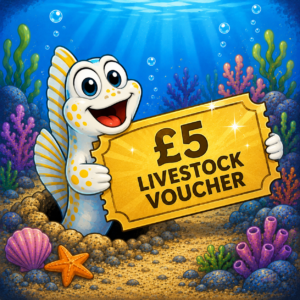 £5 Instant Win Livestock Voucher